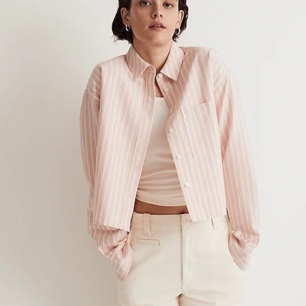 Madewell Pink Striped Button Down Shirt